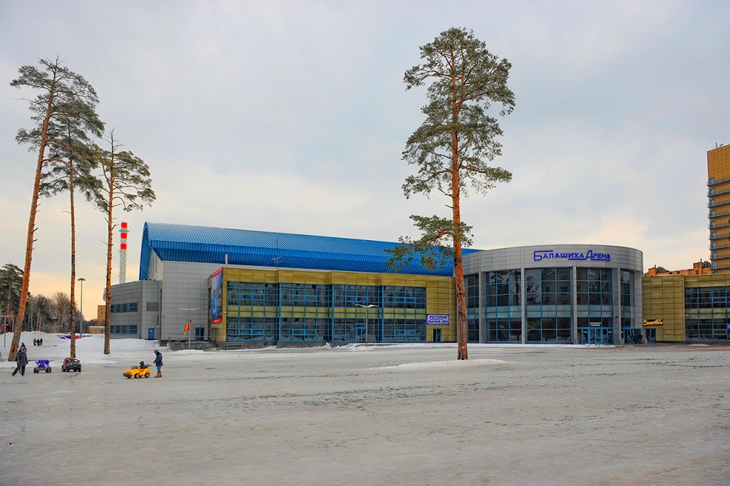 арена 2013 год