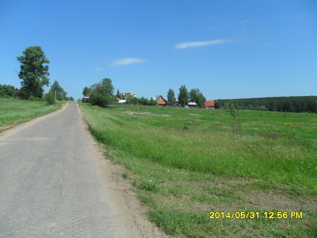 м