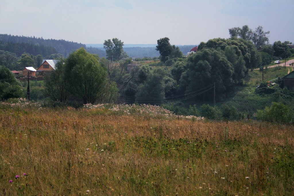 field