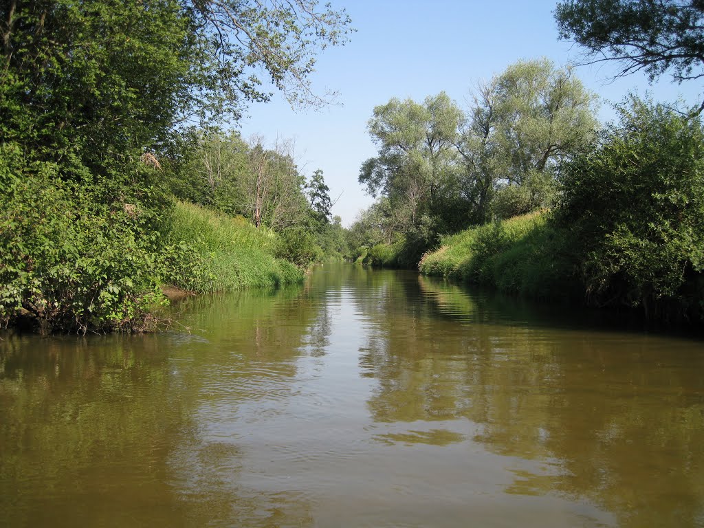 Лопасня