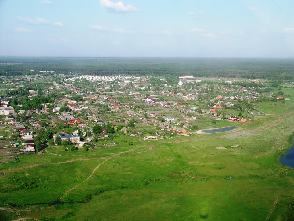 Белоомут
