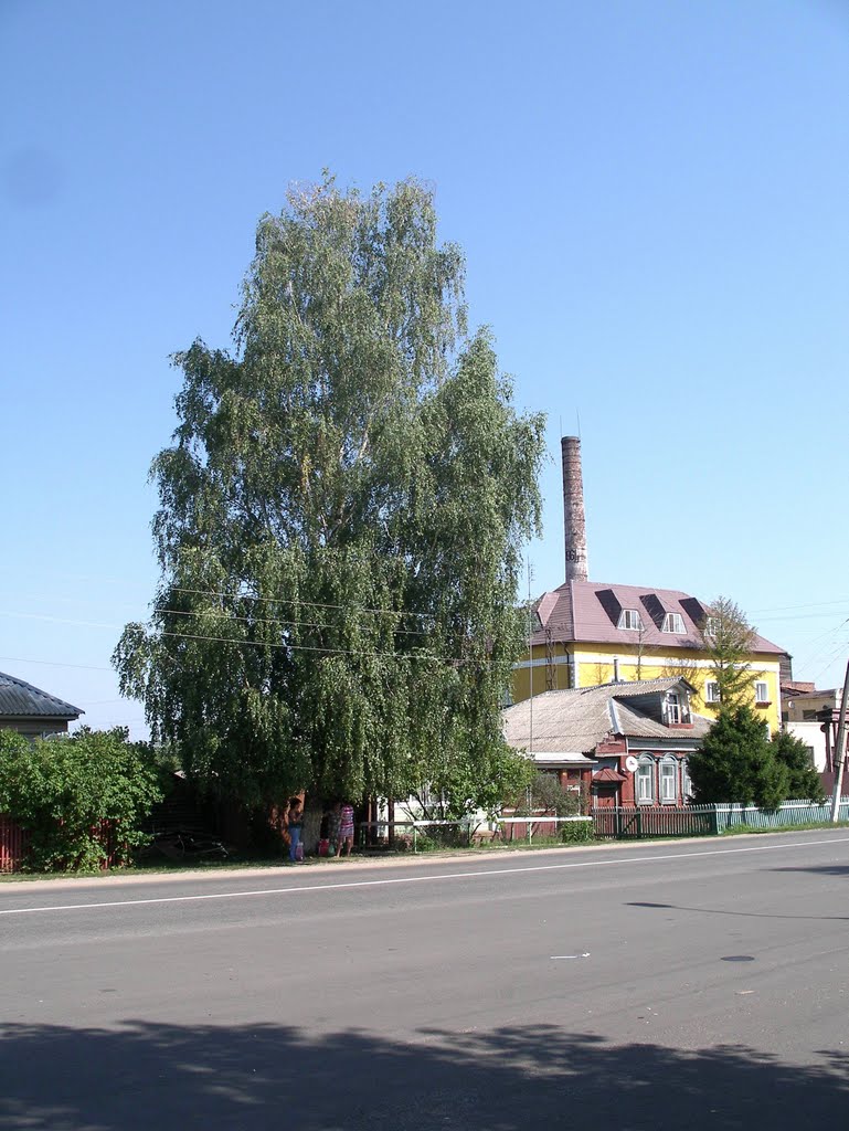 Белоомут