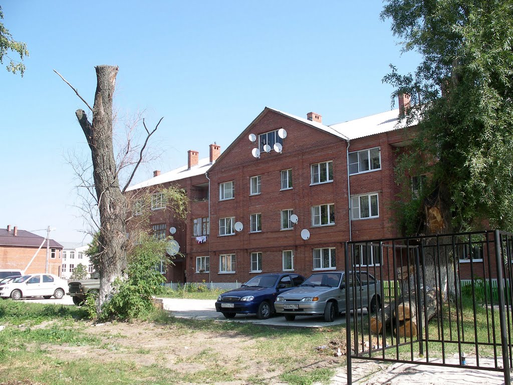Белоомут