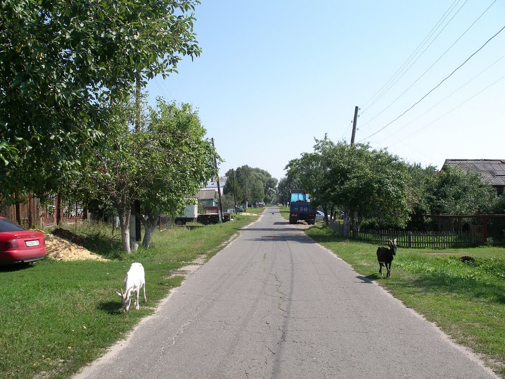 Белоомут