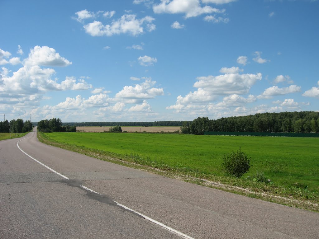 Дорога в сторону Шишкино