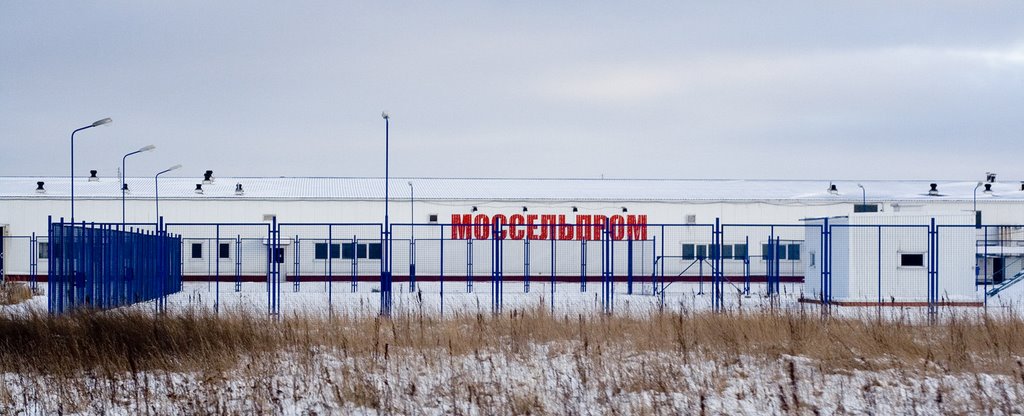 Моссельпром