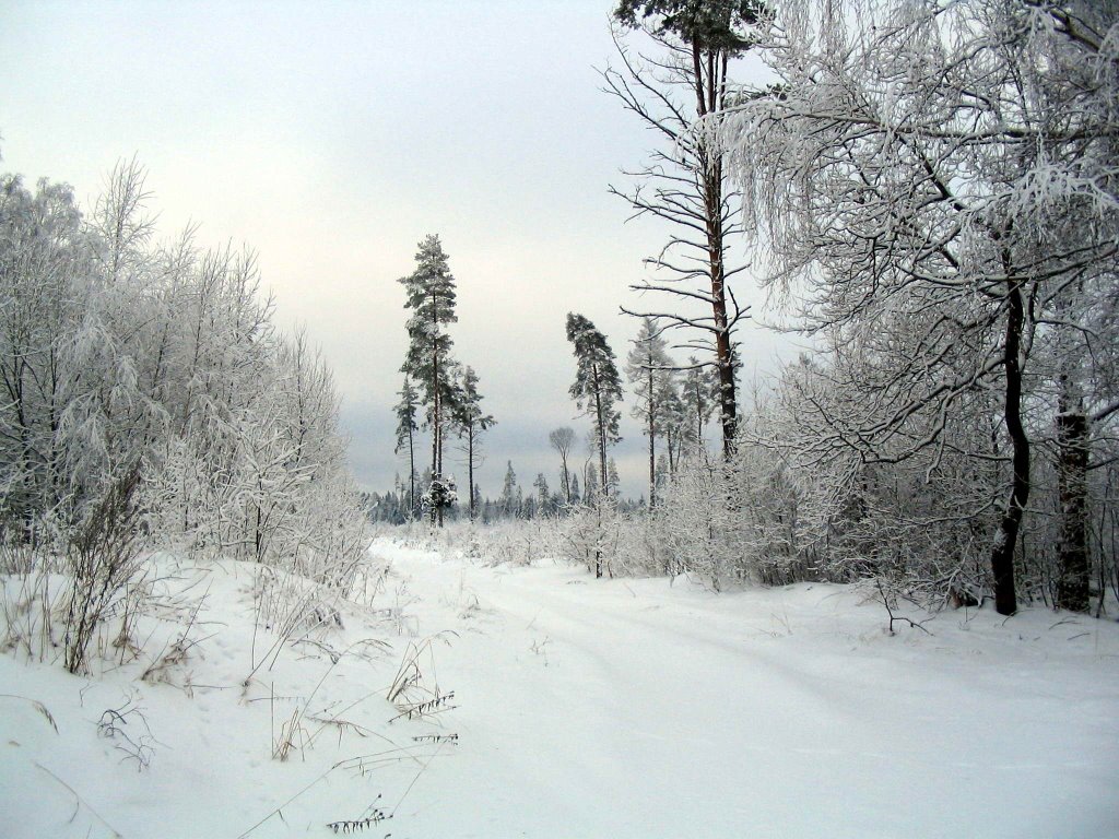 Просто красиво.