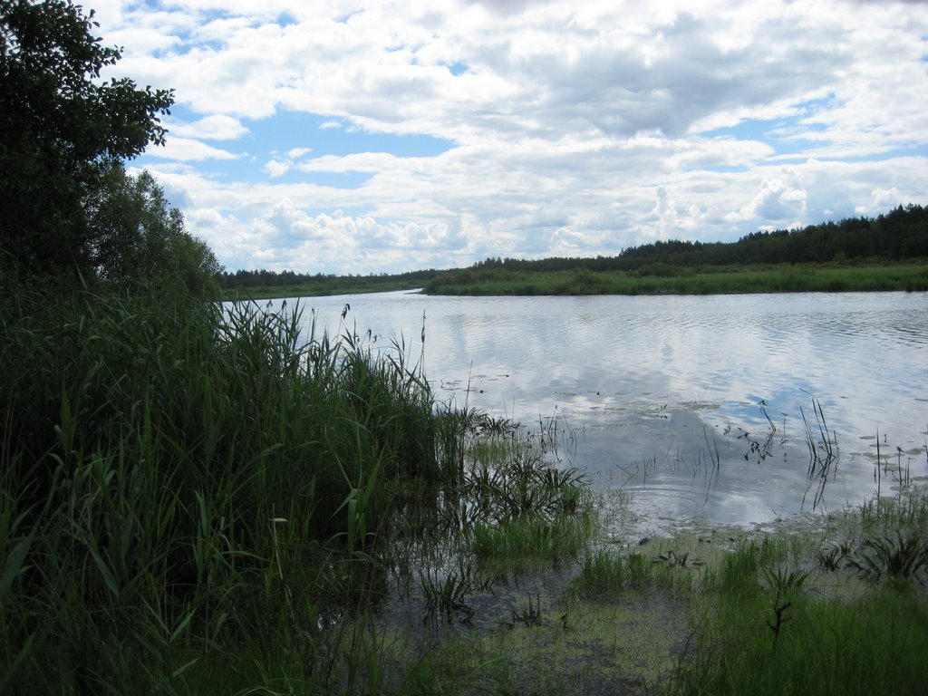 Река Ялма.Июль 2008