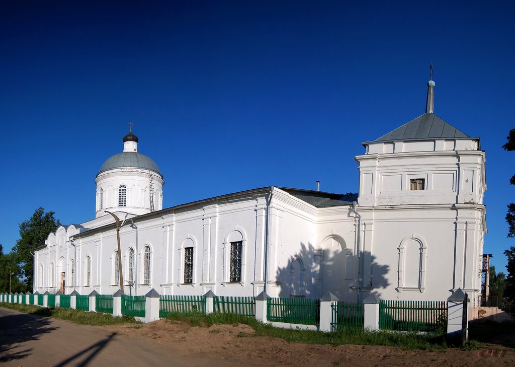 Дмитровский погост. Церковь Димитрия Солунского