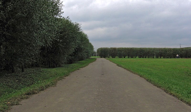 Между футбольных полей. 2006