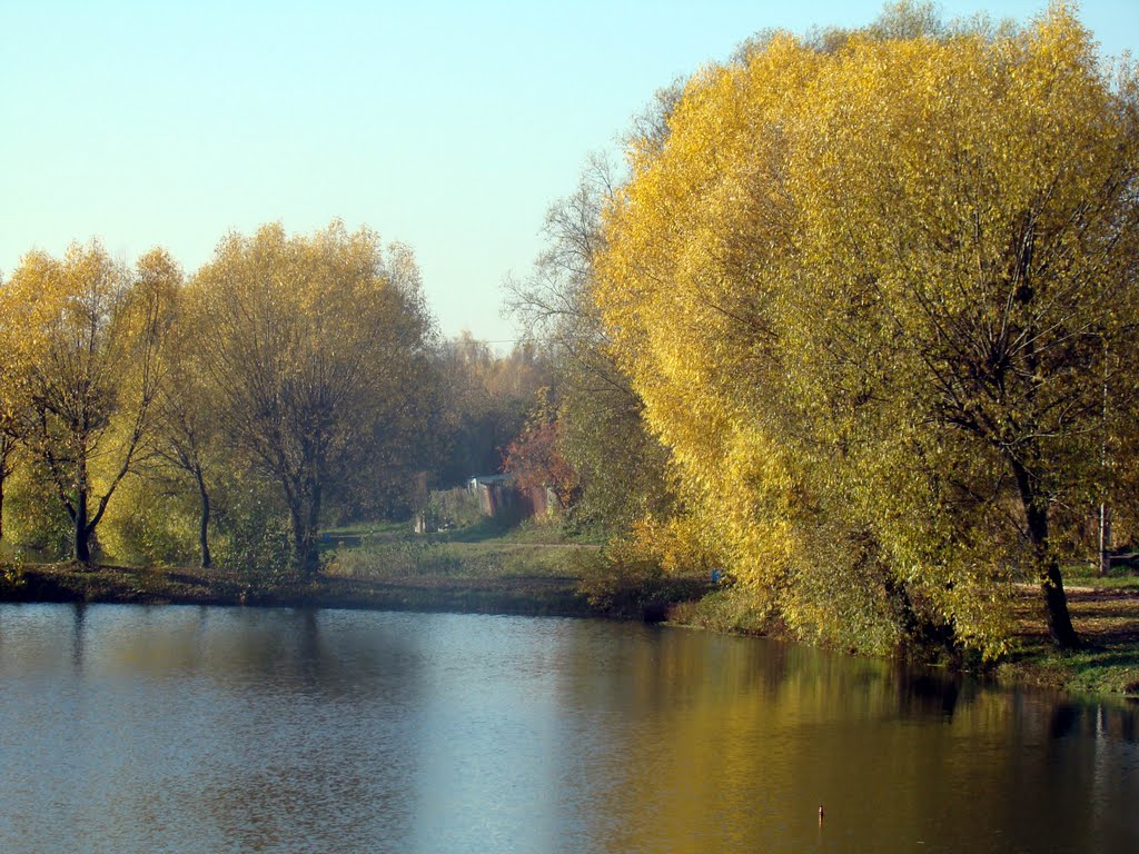 Осень в Бронницах