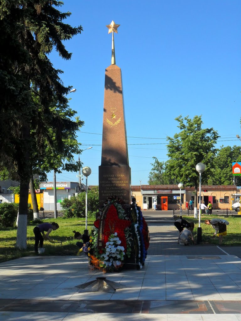 Бронницы