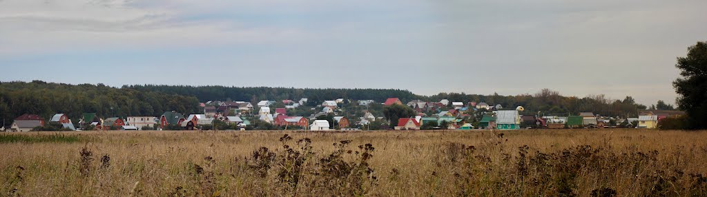 Бояркино