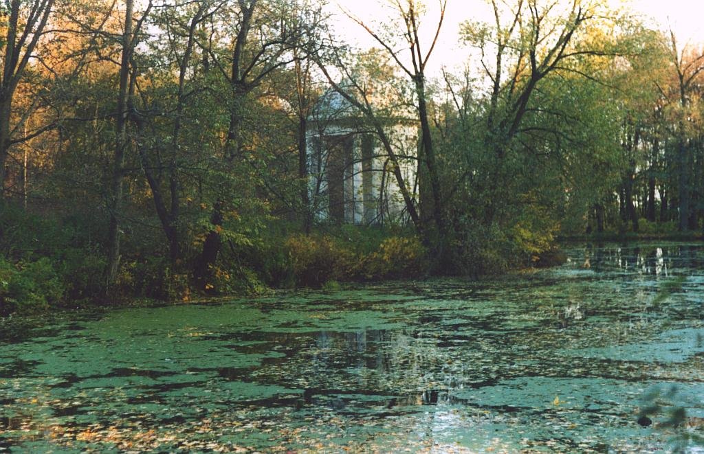 Park with arbour in Bukovo