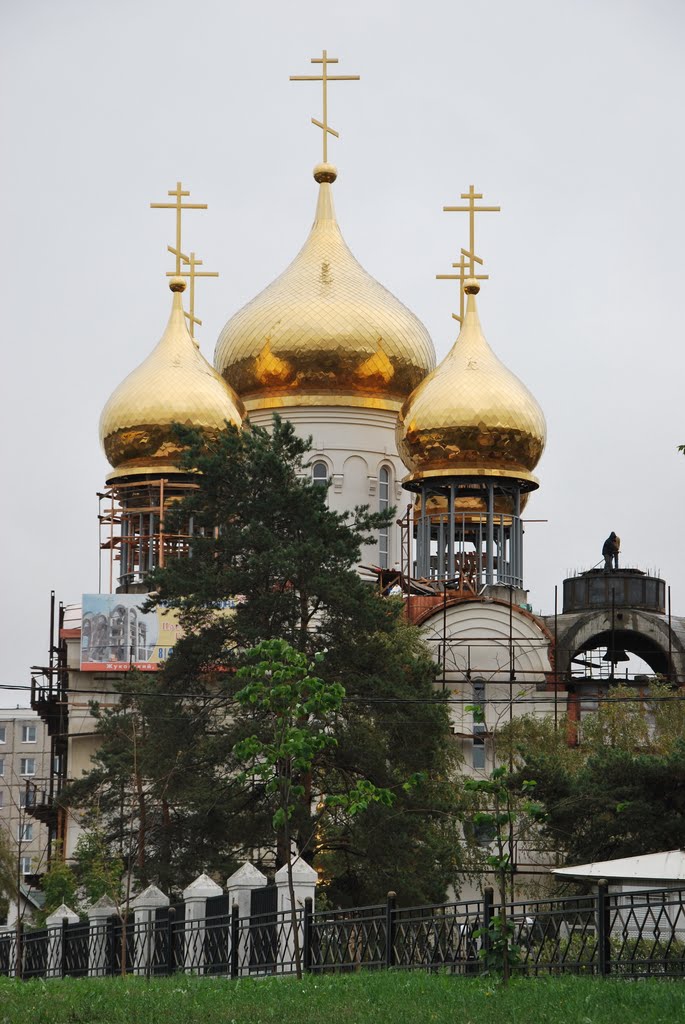 Купола.
