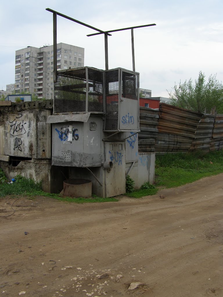 Голубятня в Жуковском