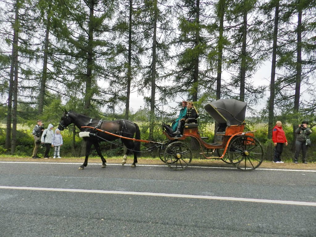 Бричка