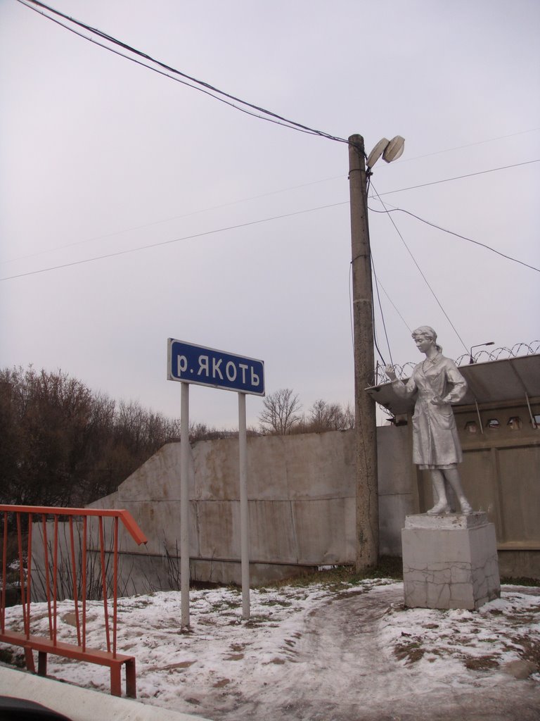 Памятник "аэрогитаристке" у р.Якоть