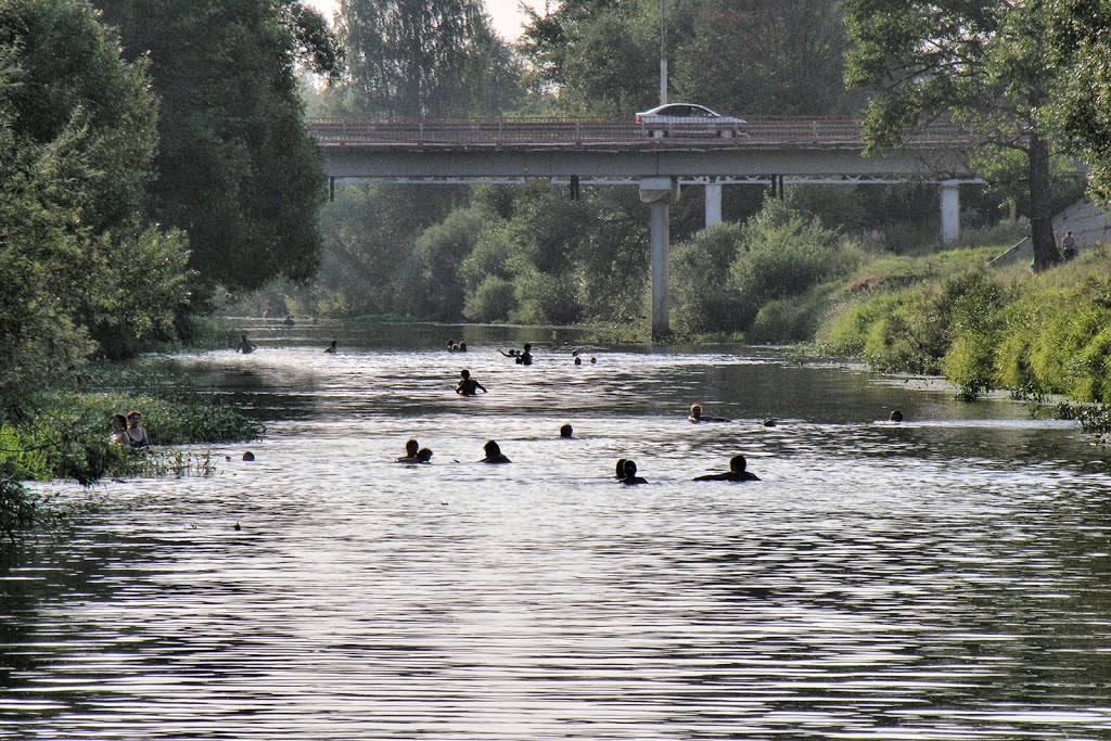 Evening Swimming, River Dubna