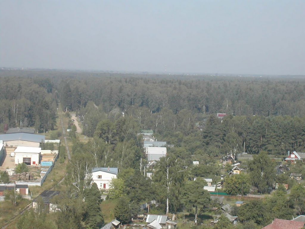 вербилки