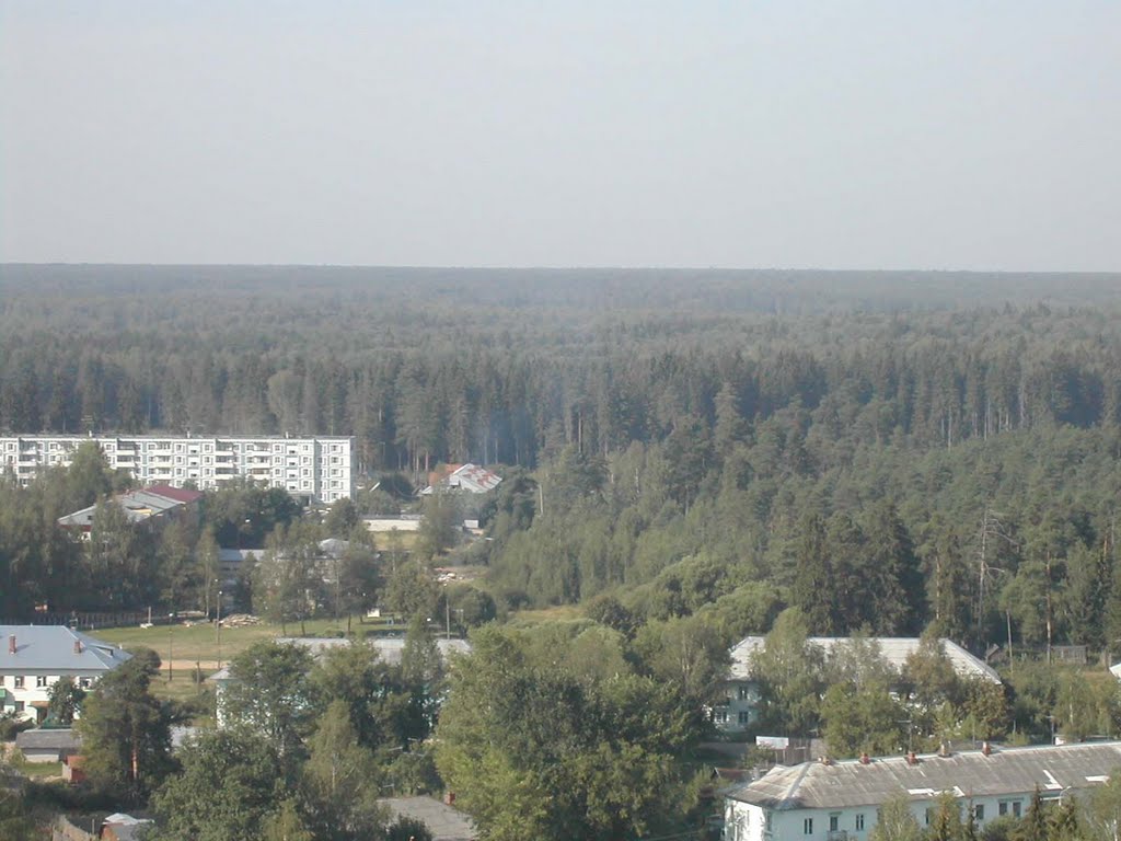 вербилки