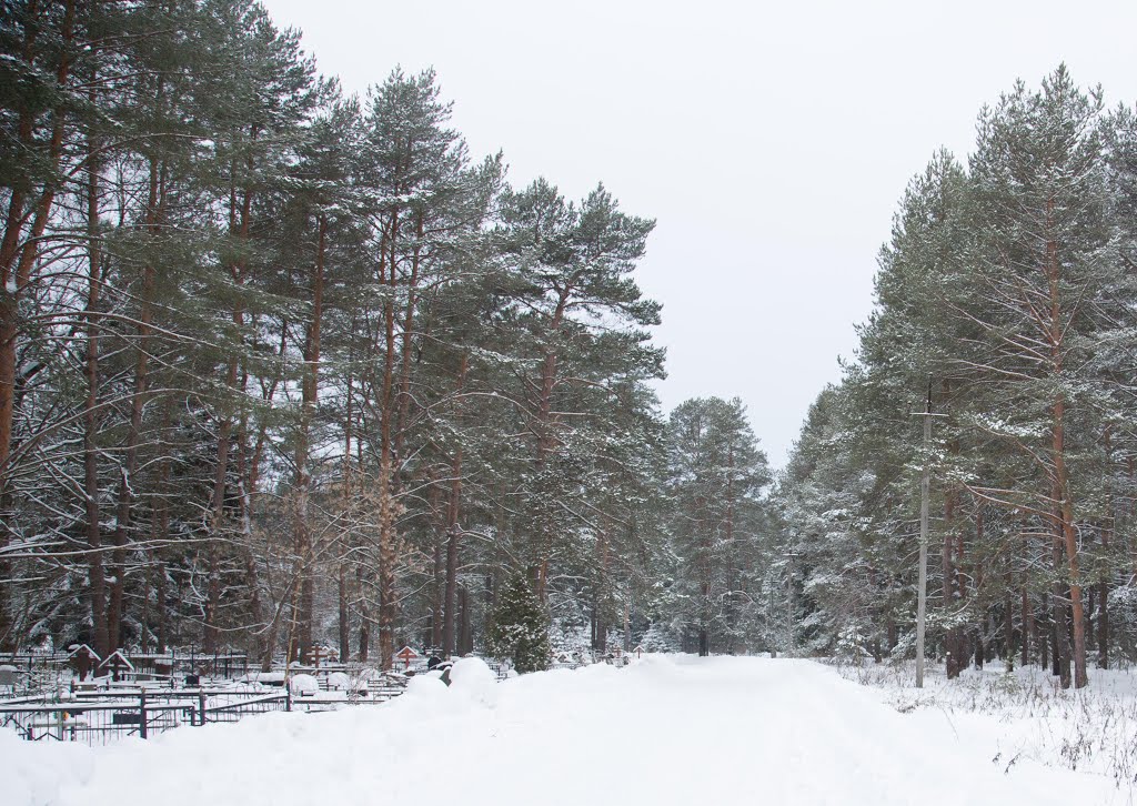 Cemetery in the forest  Кладбище в лесу