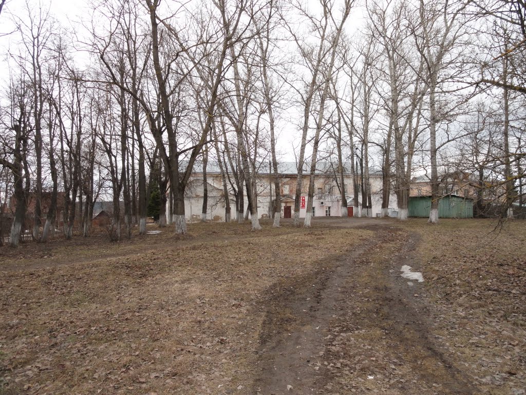 Верея