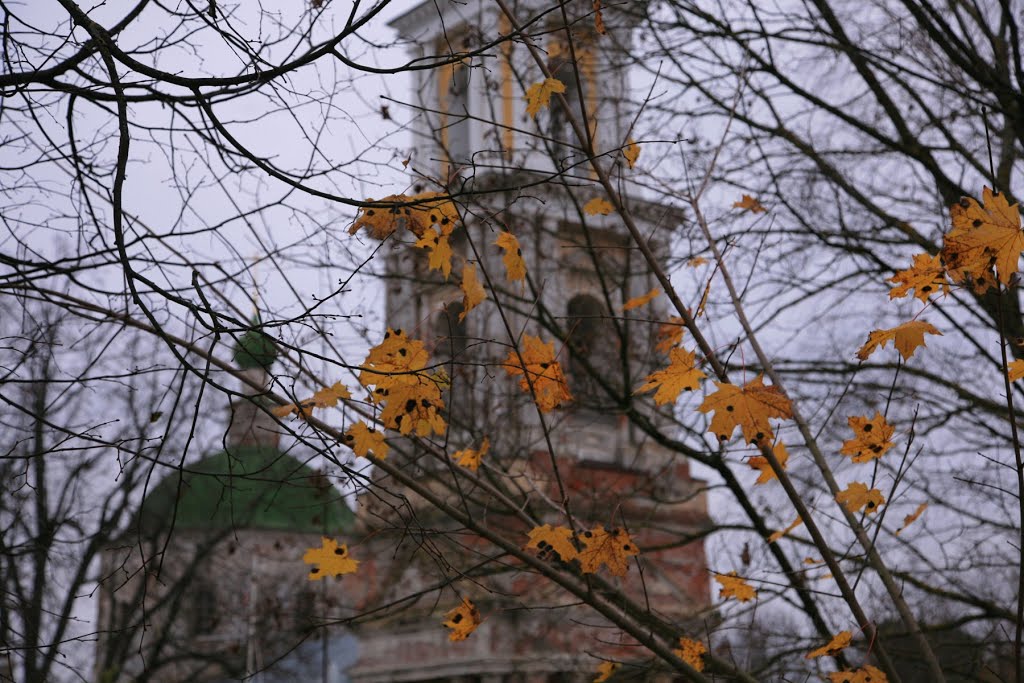 Осенний этюд