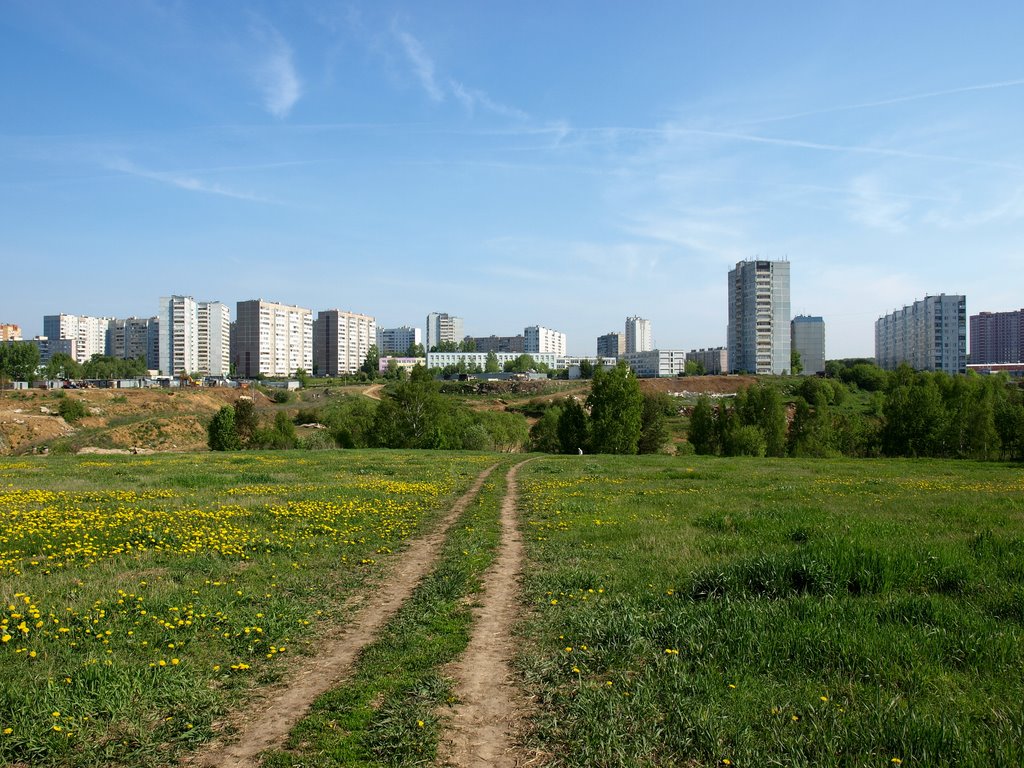 Проспект Ленинского Комсомола, Жуковский проезд (вид с поля)