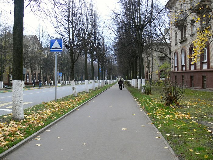 ул. Заводская в г. Видное