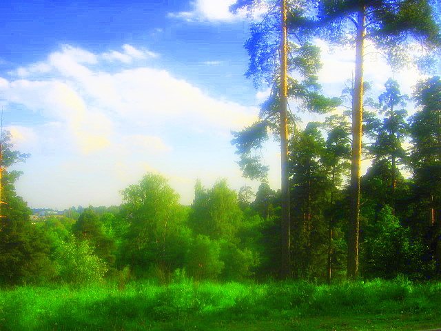 Colorful summer