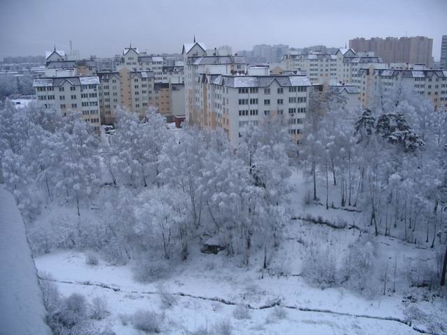winter in Vidnoe