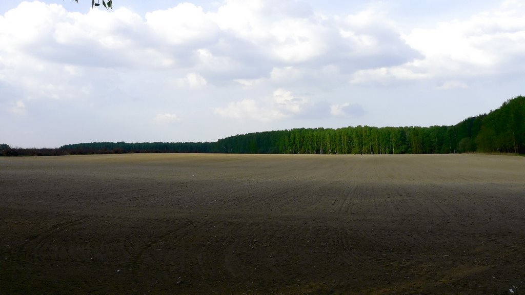 The field