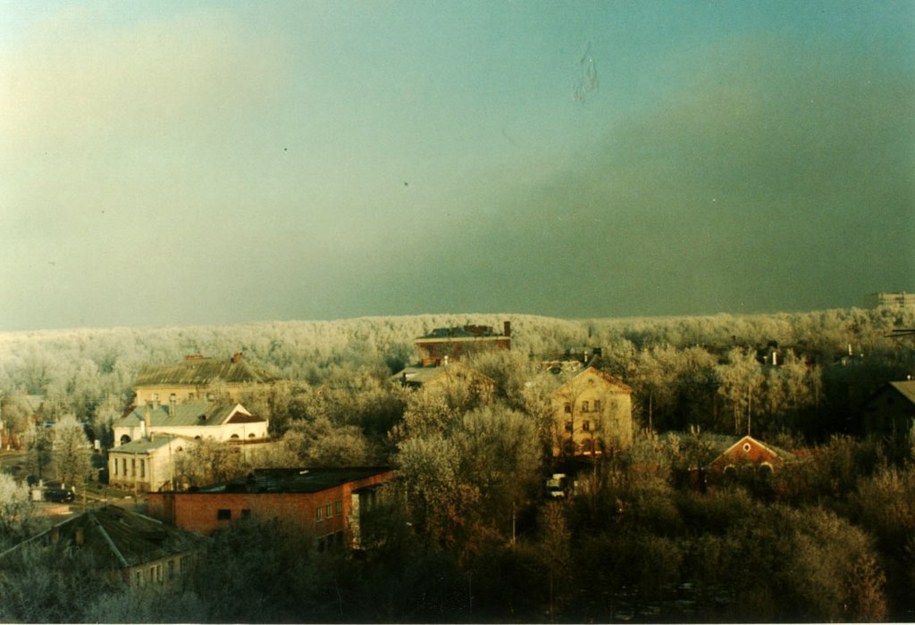 Город Видное