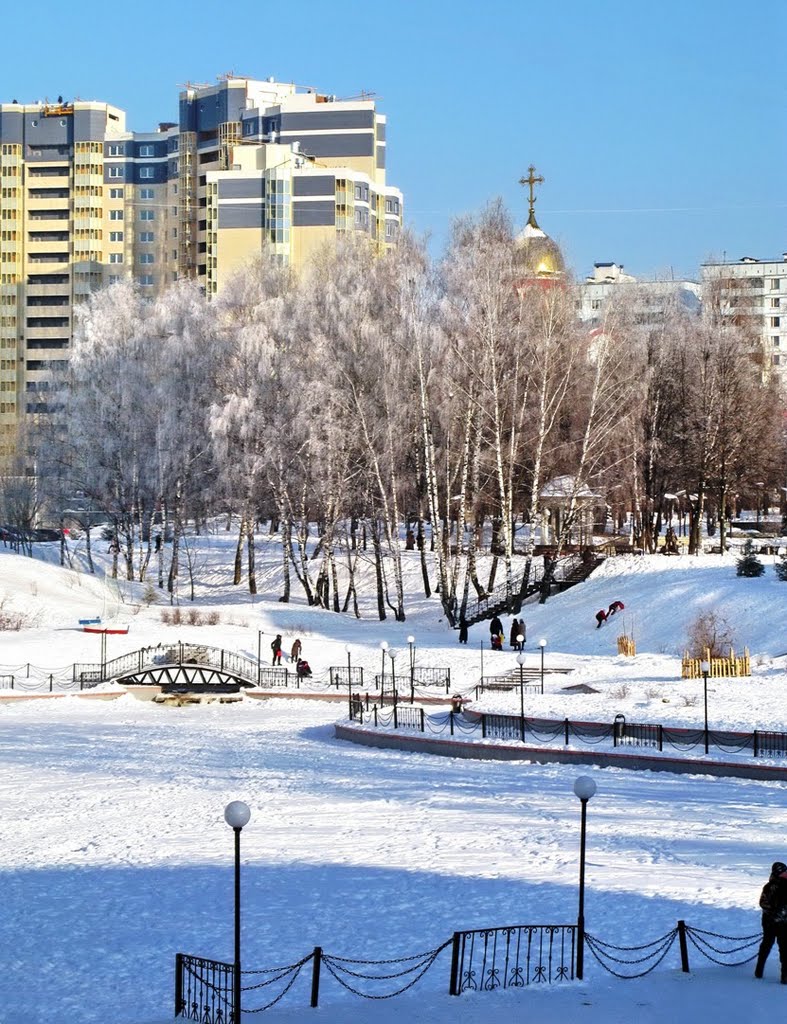 Видное, Зима 2010г.