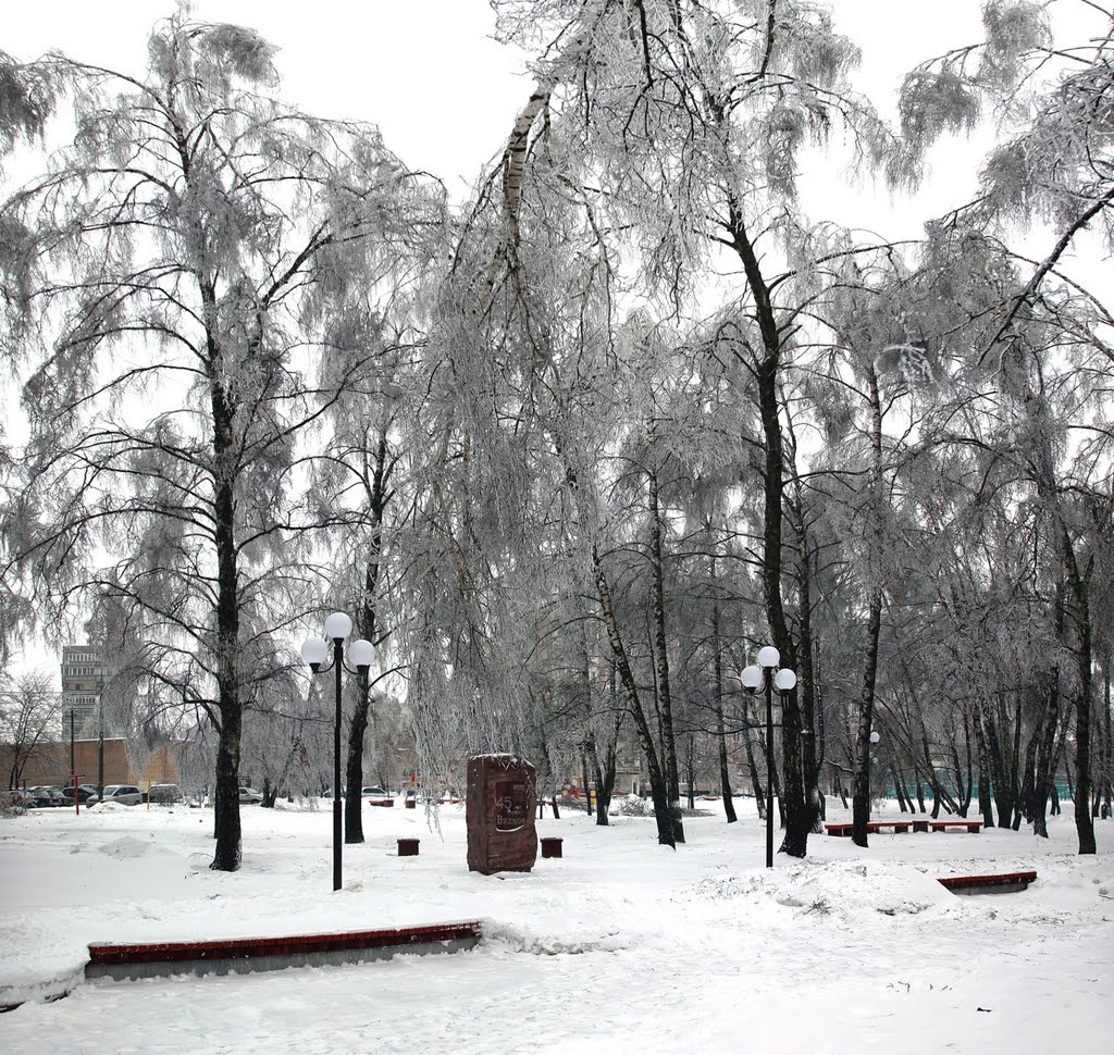 Видное. Памятный камень в честь 45летия города