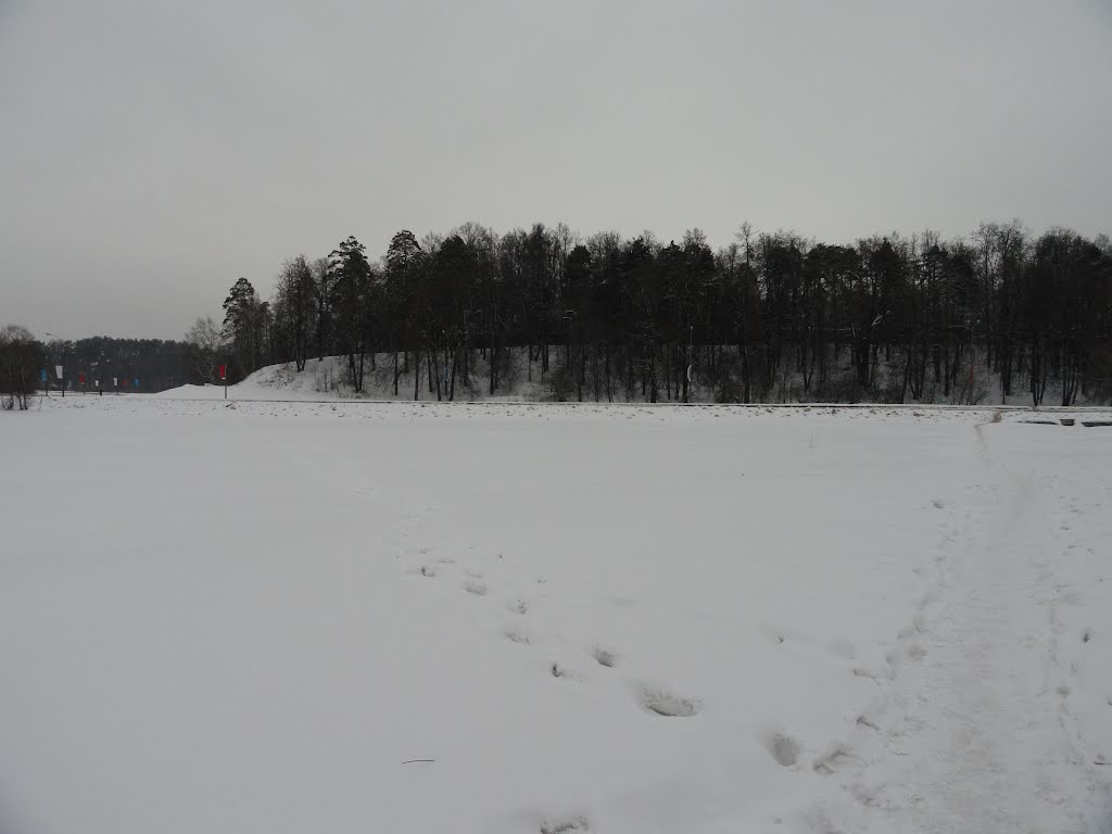Видное