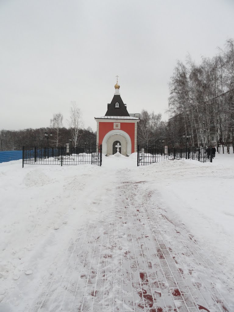 Видное