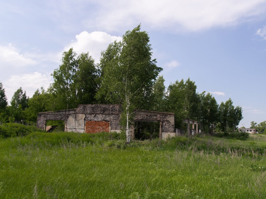 коровник 1