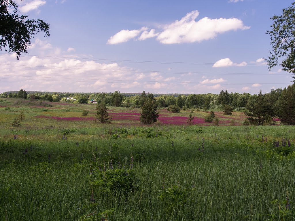 красные пятна