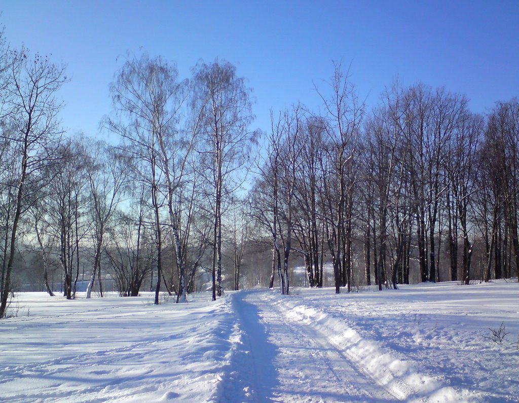 Winter Morning