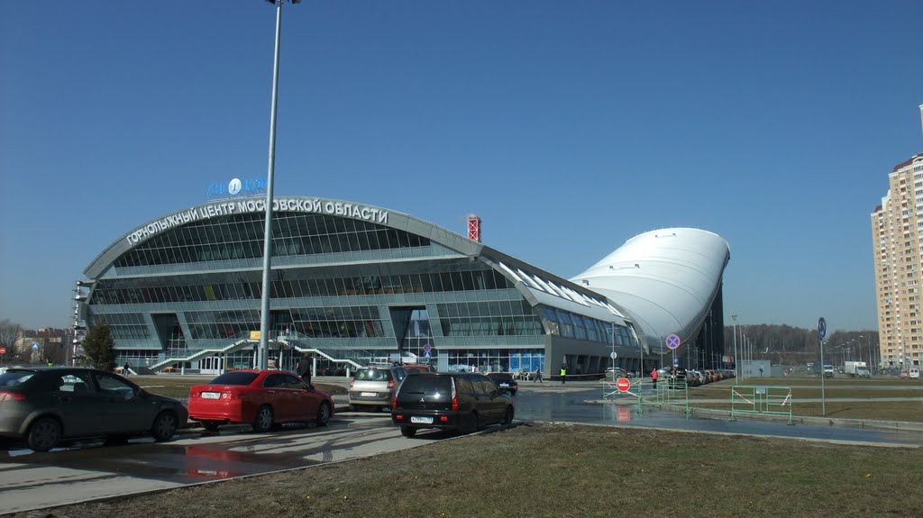в Подмосковье