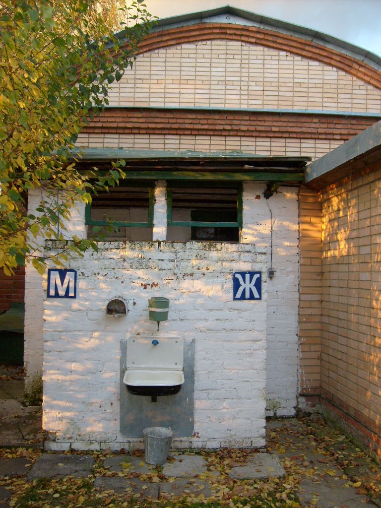 М Ж