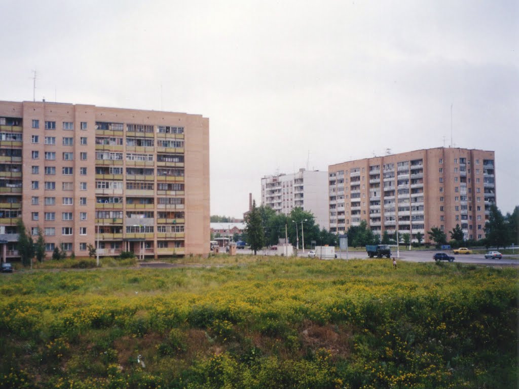 Дома по Новосолдатской улице (Вид на север) 2000 г.  /  Houses for Novosoldatskaya street (View on north)