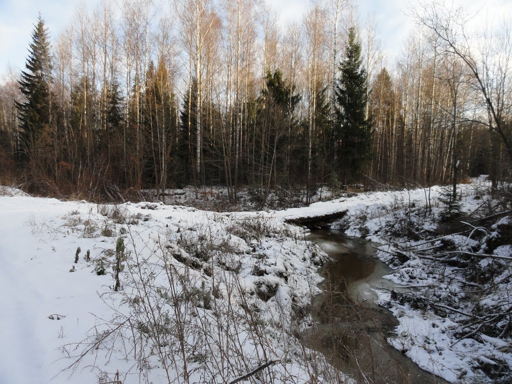 Переславский район, Ярославская область