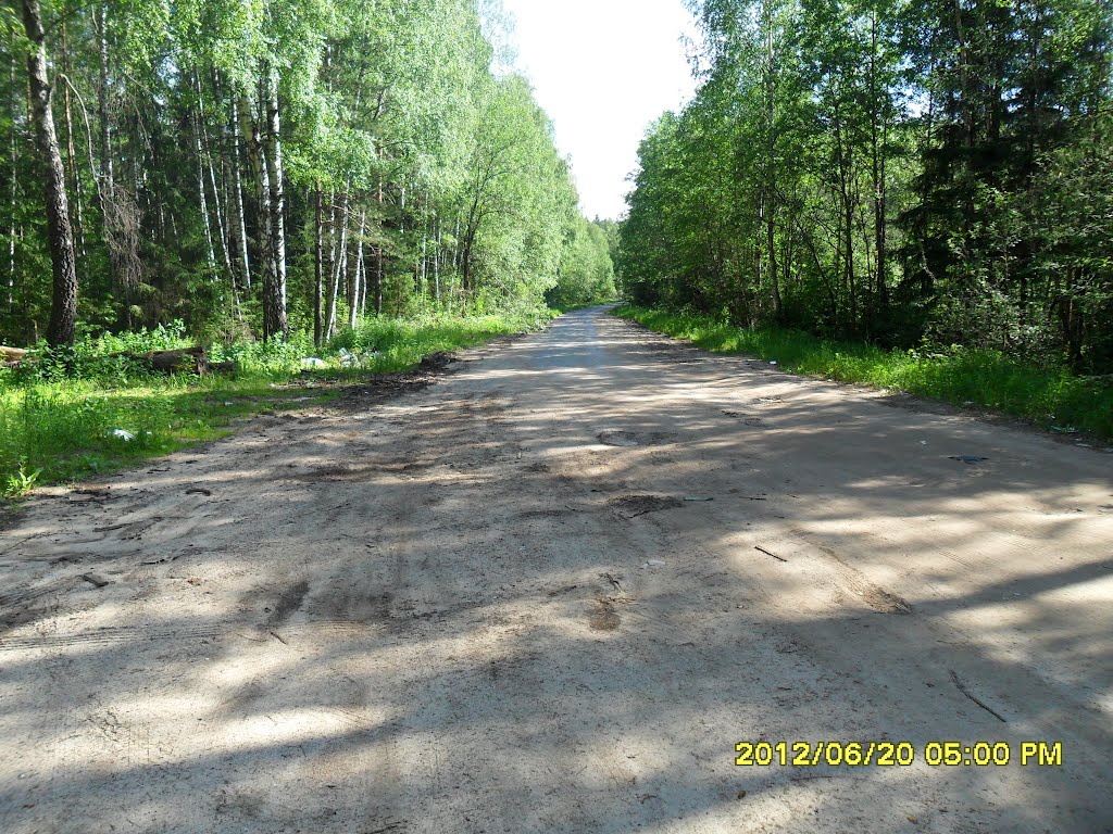 Въезжаем в Московскую область, начинается асфальт! м