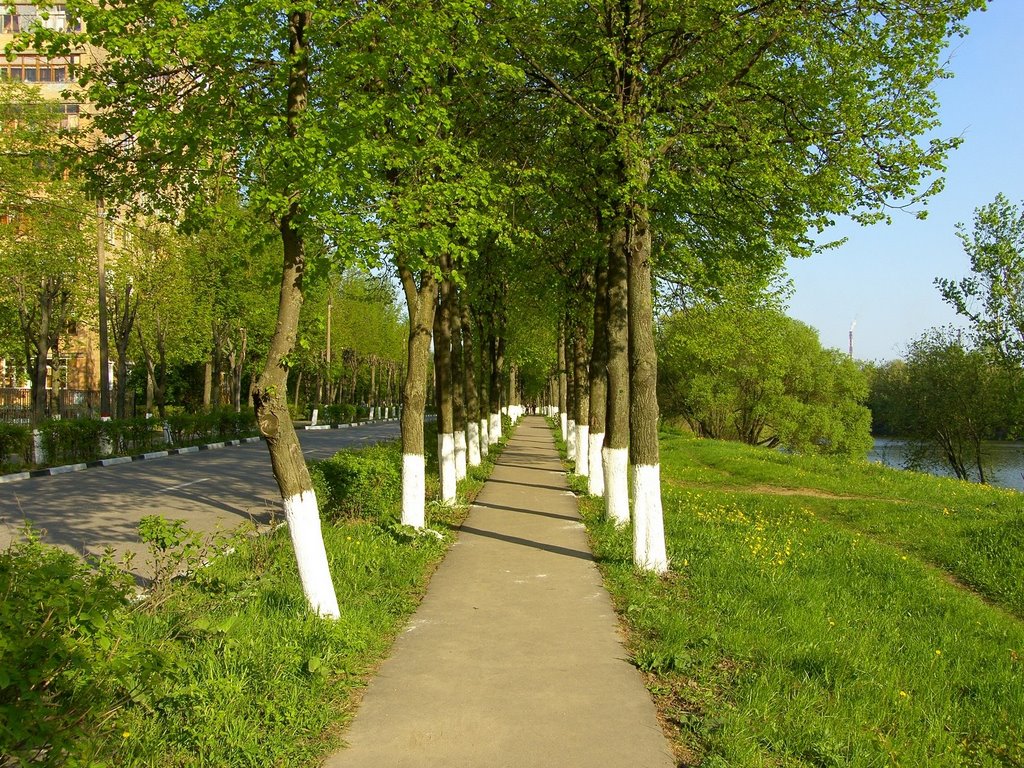 Аллея