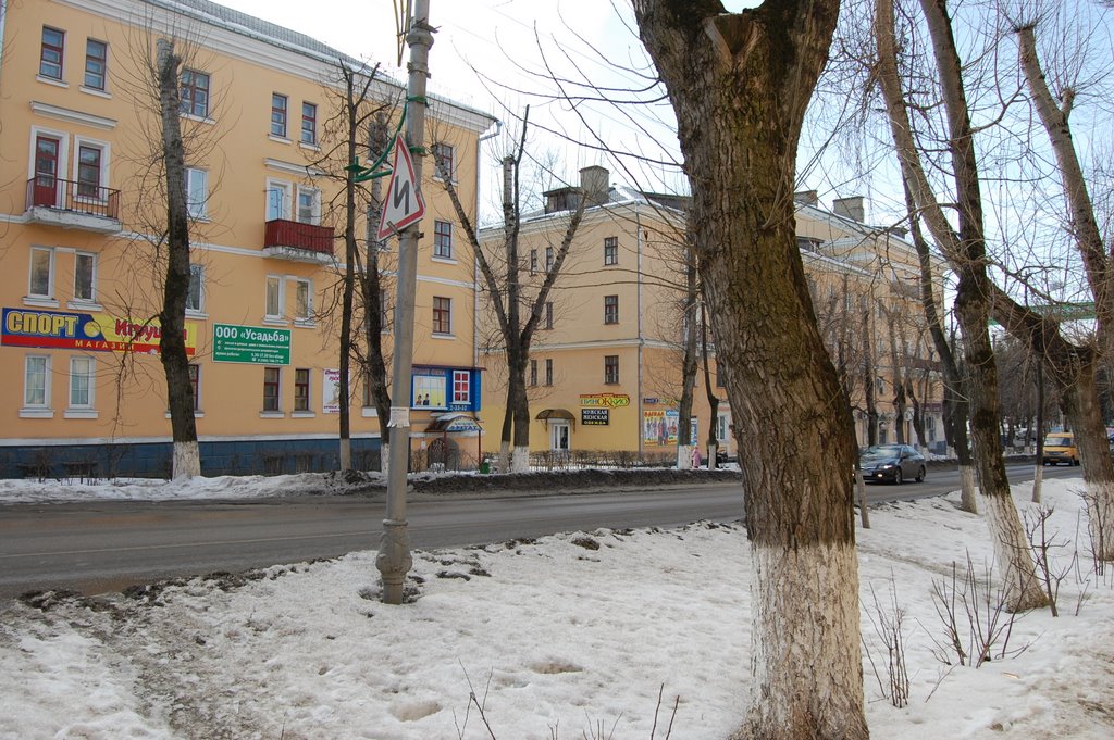Воскресенск2