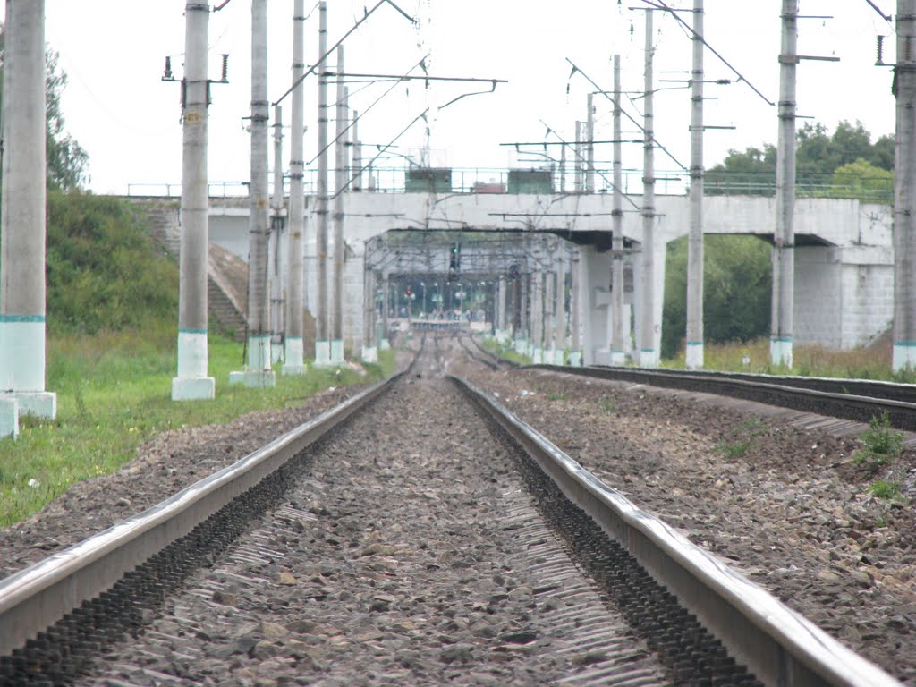 Сосенки