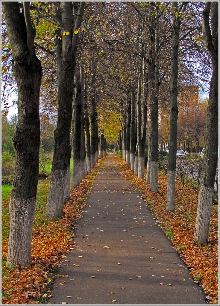 Осення дорожка